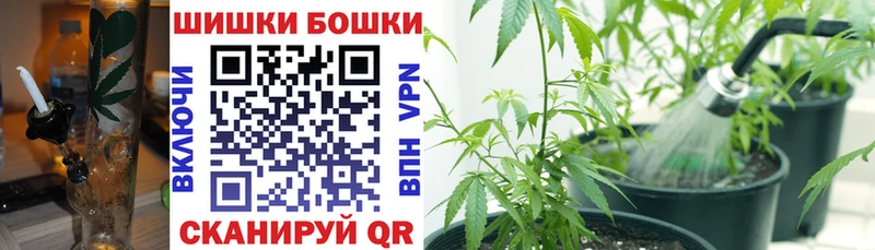 Шишки марихуана Amnesia  Купить закладки  Ирбит 